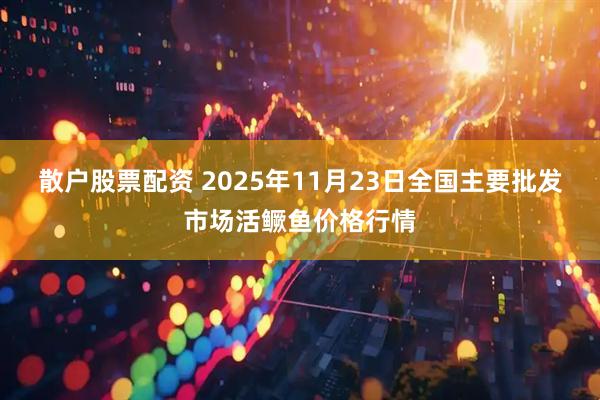 散户股票配资 2025年11月23日全国主要批发市场活鳜鱼价格行情
